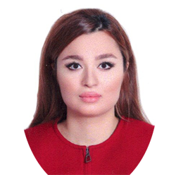 Elnaz Mirzaei Esfanjani
