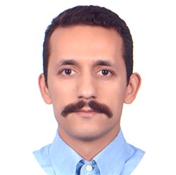 Hamid Mohammadian